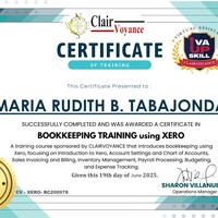 Bookkeeping Training using Xero