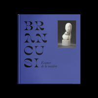 Brancusi, Essence de la matière - art book
