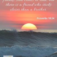 Social Media Posts Designs Canva