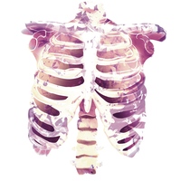 Partial Illustration For Print on Shirt