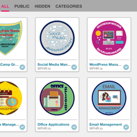 Credly Learning Badges