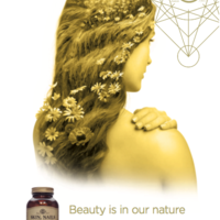Copy for Solgar's 2018 supplement product launch