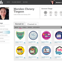 Badges earn from online course