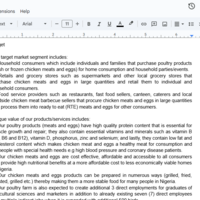 Google Doc