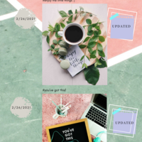 Social Media Content Management (LinkedIn)