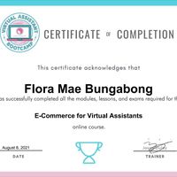 Certifications for E-Commerce Course