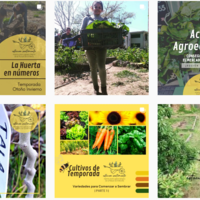 Huerta Sentimiento