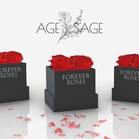 Portfolio Thumbnail 19