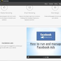 Running and managing FB Ads.