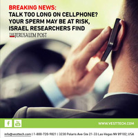 Newsletter - B2B/C awareness