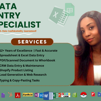  I offer Accuracy. Speed. Excellence