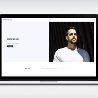 Blogger Website Development
