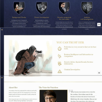 Professional Website Development - Wordpress