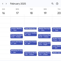 February 2025 calendar view with scheduled meetings.