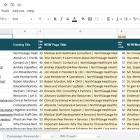 NorthGauge On-page SEO