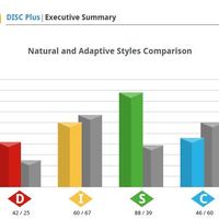 DISC Report.