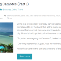 Word Press Management