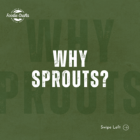 Portfolio Thumbnail 14