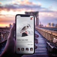 Social App Concept