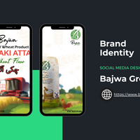 Web designs