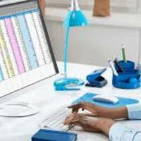 Data Entry Representative 