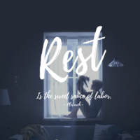 Philosophies Canva Creations