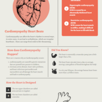 INFORMATIONAL INFOGRAPHICS