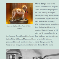 Content Creation: Managing Wordpress page 6