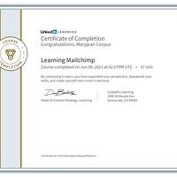 Learning MailChimp 