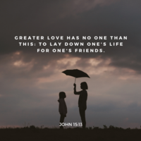 Social Media Imageries using CANVA
