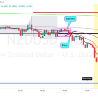 NZDUSD 800EMA Boost