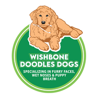 Portfolio Thumbnail 4