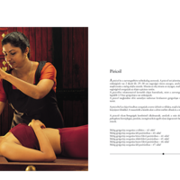 Panchakarma - Pages