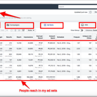 Facebook Ads Campaign Result