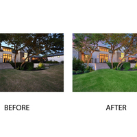 Lawn enhancement