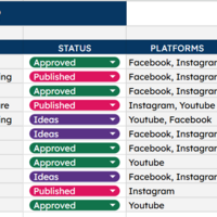 created a content calendar for the CEO