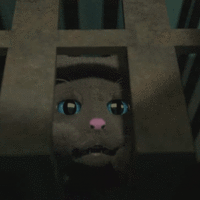 Portfolio Thumbnail 10