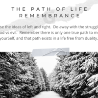 Portfolio Thumbnail 2