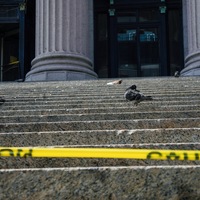 Portfolio Thumbnail 2