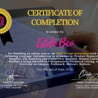 eBay Virtual Assistance Certificate