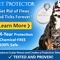 Banner Ad 300x250