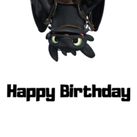 Portfolio Thumbnail 14