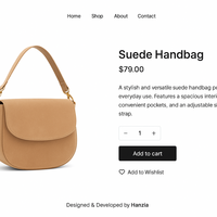 This Website is developed by Hanzla Qureshi