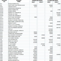 Account Balanceeport