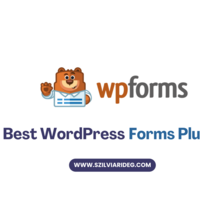Forms Plugin Blogpost