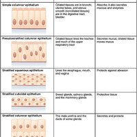 Portfolio Thumbnail 3