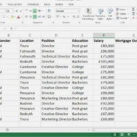 Excel Sorting and Filtering