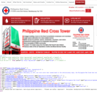 Web Developer