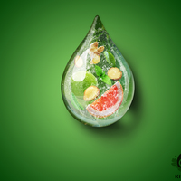 Creative Design