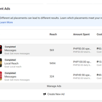 Facebook Ads Report